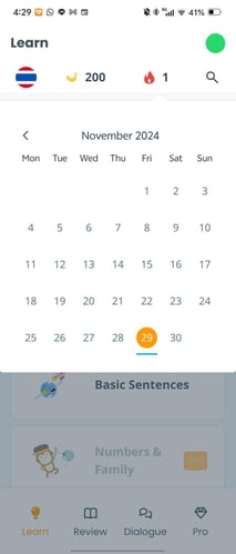 screenshot_20241129_162923